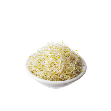 Sprouts - Alfalfa